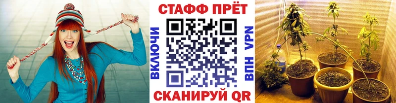 Магазины продажи наркотиков Фатеж Псилоцибиновые грибы  Гашиш  КОКАИН  СК 